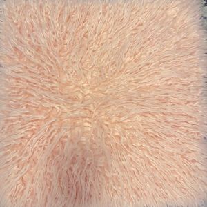 Set of 2 Fuzzy throw pillow covers